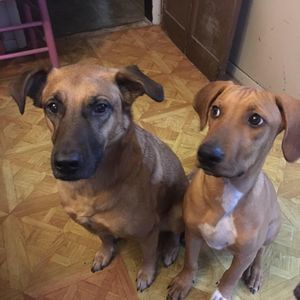 Meet your Posher, Mariah